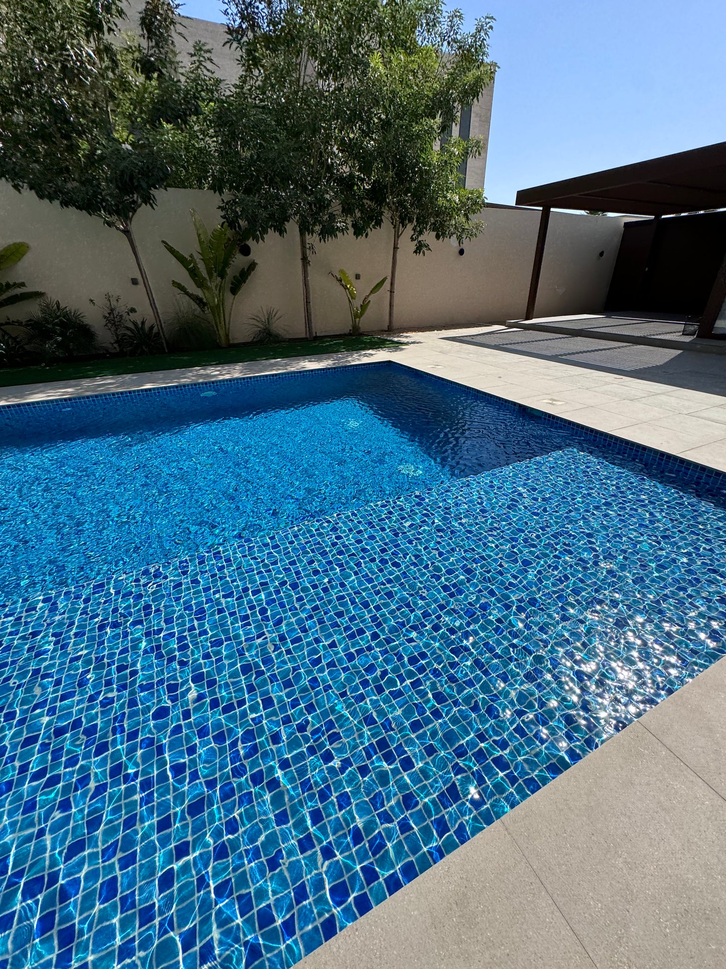 Swimming Pool Tiles MCS650603