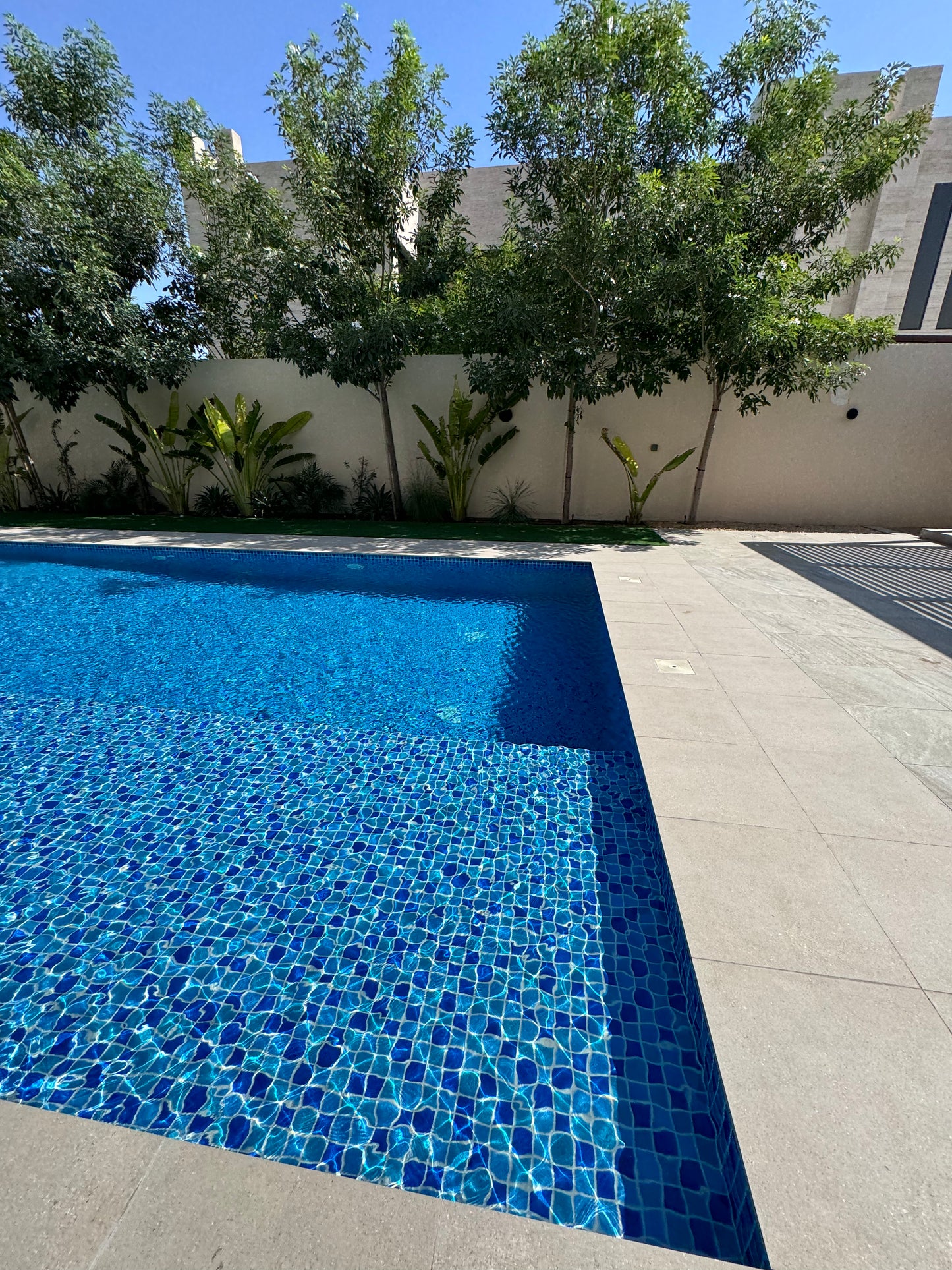 Swimming Pool Tiles MCS650603