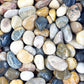 Eternal Stoneworks Colourful High Polished Pebble Stone