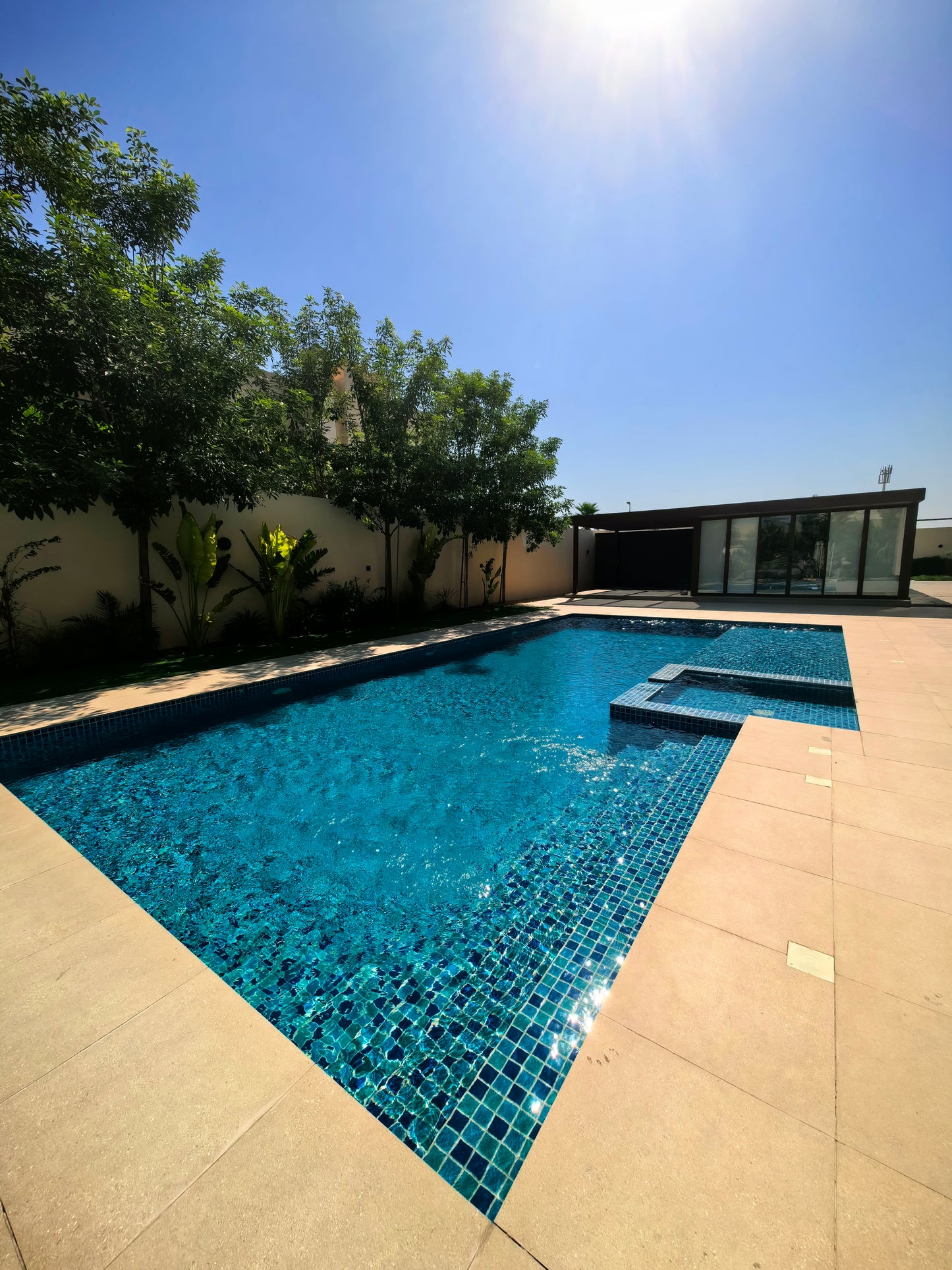 Swimming Pool Tiles MCS650603