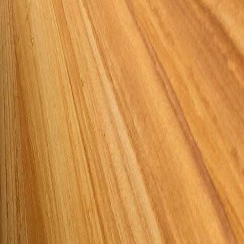 Teakwood Sandstone Honed Surface 600X600mm